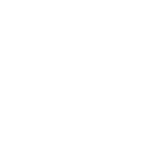 GEEIQ-Logos_CSM