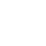 Nascar logo