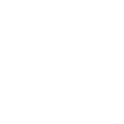 Nascar logo