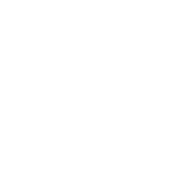 Nascar logo