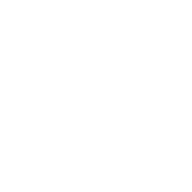 Shiseido logo